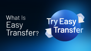 What Is Easy Transfer on BtcTurk | Global?