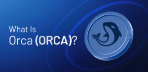 What Is Orca (ORCA)? How Does It Work?