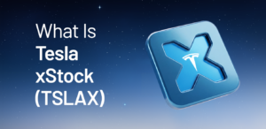 What Is Tesla xStock (TSLAX)? How Does It Work?